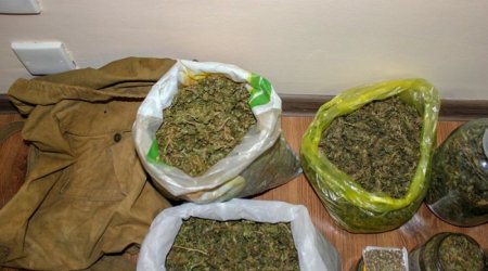 Gəncədə bir evdə 24 kiloqram marixuana aşkar edildi