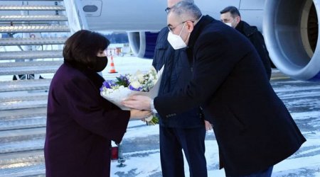 Milli Məclis üzvülərinin Baltikyanı ölkələrə səfəri başladı