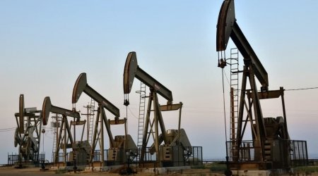 Azərbaycan neftinin qiyməti 95 dollara yaxınlaşdı