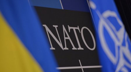 Ukrayna NATO-dan yardım istədi