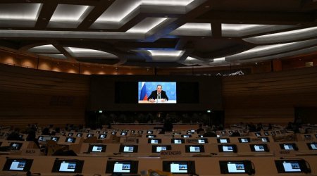 Lavrov konfransa onlayn qoşuldu, çıxışı başlayanda Şura üzvləri zalı tərk etdi – VİDEO 