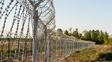 Sərhədi saxta sənədlə və gizli keçmək istəyənlərin sayı açıqlandı