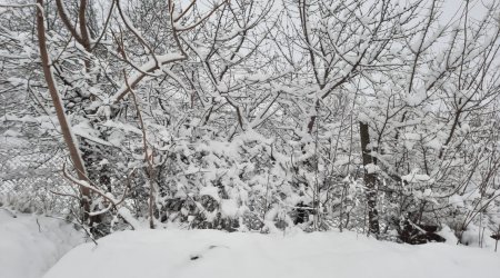 Qarlı-şaxtalı Qubadan yeni FOTOLAR 