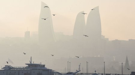 Sabah bəzi yerlərdə duman olacaq - PROQNOZ