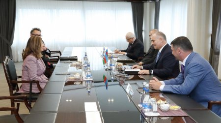 DTX-da Beynəlxalq Komissiyanın rəhbərliyi ilə görüş keçirildi - FOTO
