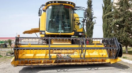 Azərbaycanda taxıl biçini ilə bağlı işlərə başlandı - FOTO