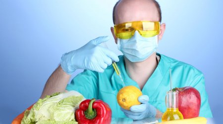 Qida Agentliyi GMO məhsulların istifadəsini qanuniləşdirməyə çalışır? - Ekspertdən SƏRT İTTİHAM