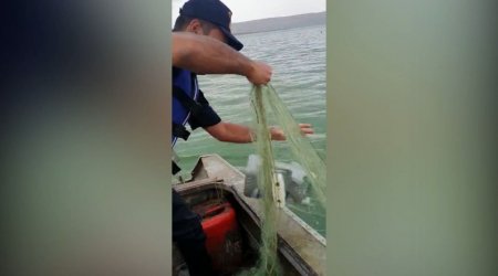 Şəmkirdə REYD: Torlarda aşkarlanan diri balıqlar suya buraxıldı - FOTO