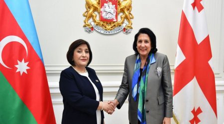 Sahibə Qafarova Gürcüstan Prezidenti ilə görüşdü