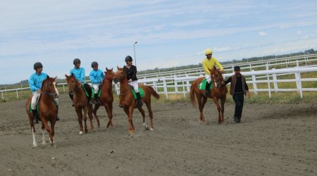 Bərdədə at yarışları keçirildi - FOTO