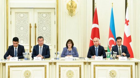 Sahibə Qafarova Türkiyə və Gürcüstan parlamentariləri ilə görüşdü - FOTO
