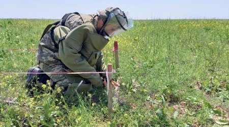 Müdafiə Nazirliyi azad edilmiş ərazilərdə aşkar edilən minaların sayını açıqladı - FOTO