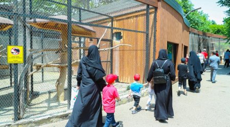 İraq və Suriyadan Azərbaycana dönən uşaqlar Bakı Zooloji Parkında - FOTO