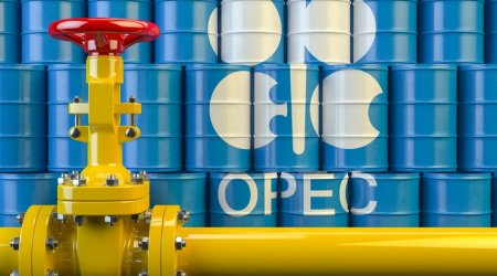 OPEC aylıq neft hasilatını azaltdı