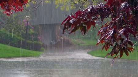 Bu rayonlarda qeyri-sabit hava şəraiti davam edəcək