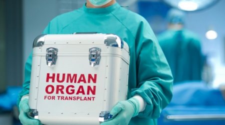 Orqan Transplantasiyası Mərkəzi bu tarixdə açılacaq