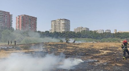 Bakıda bir nəfər parkda qəsdən yanğın törətdi – POLİS SAXLADI - FOTO