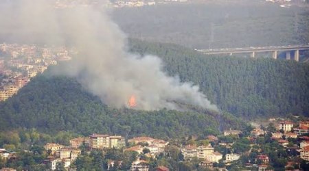 İstanbulda meşədə yanğın söndürüldü  - YENİLƏNİB - VİDEO