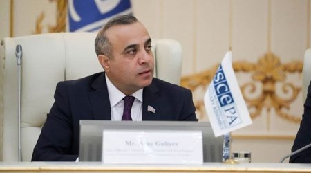 Azay Quliyev ATƏT-də yüksək vəzifəyə seçildi