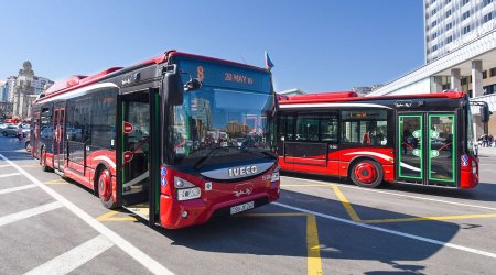 Bakıda 45 avtobus gecikmə ilə hərəkət edir - BNA