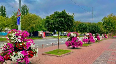 Kiyev son görüntülərilə hər kəsi heyran etdi – FOTOLAR  