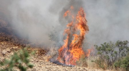 Biləsuvardakı yanğın söndürüldü