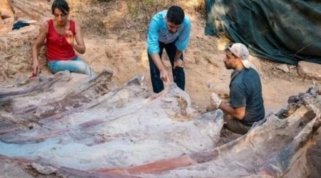 Portuqaliyada Avropanın ən böyük dinozavrının qalıqları tapıldı