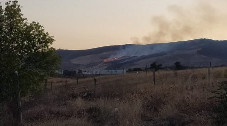 Ermənilər Xocalı istiqamətində meşələri yandırdı - FOTO