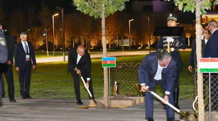 ŞƏT Sammitində iştirak edən dövlət başçıları ağac əkdilər - FOTO