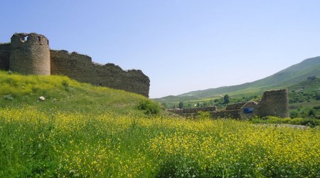 Qarabağda 130 hektar meyvə bağı salınacaq