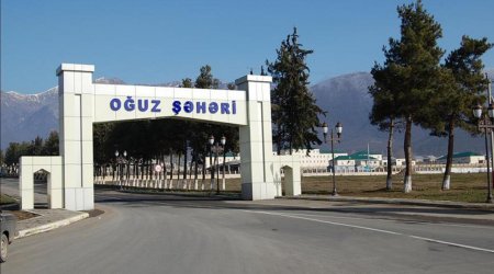 Oğuz sakini meşədə kəsdiyi ağacın altında qaldı