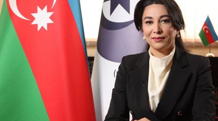 “Ermənistanın diversiya qrupları Qarabağda mina basdırır” – Ombudsman