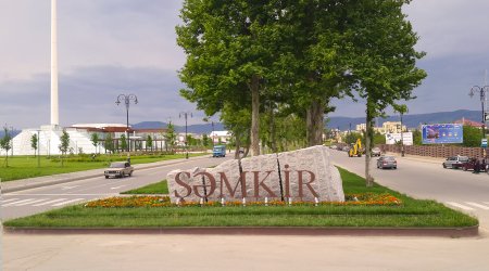 Şəmkirdə yol kənarında meyit tapıldı