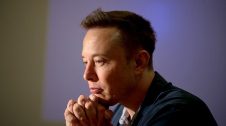 Elon Mask “mavi tık”ın tətbiqini müvəqqəti dayandırdı