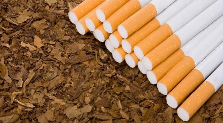 Tütün məmulatları istehsalçıları dövlət rüsumundan azad ediləcək