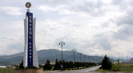 Göygöldəki avtomobil qəzasında yaralanmış qız 12 gün sonra öldü