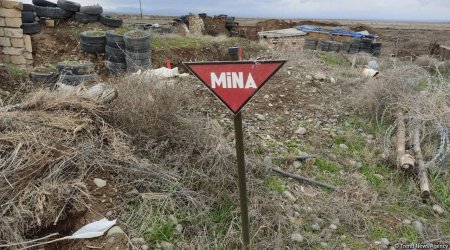 Kəlbəcərin Çıraq kəndində minalar 2020-ci ilin dekabrında basdırılıb - MN