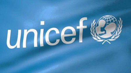 UNICEF-in Azərbaycan nümayəndəliyinin rəhbəri Prezident Administrasiyasına çağırıldı