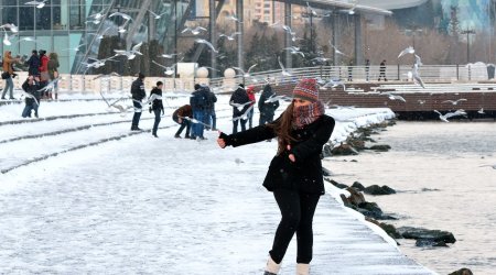 Hava şəraiti ilə əlaqədar 12 nəfər xəsarət alıb - Səhiyyə Nazirliyi