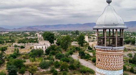 Ağdamda əkin sahələrinə ZİYAN DƏYDİ - FOTO