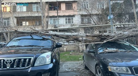 Bakıda güclü külək eyni anda üç avtomobili sıradan ÇIXARDI – VİDEO