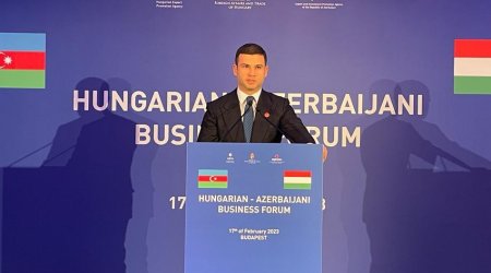 Budapeştdə Macarıstan-Azərbaycan Biznes Forumu keçirildi – FOTO 