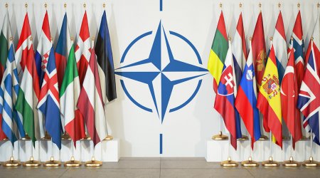 Azərbaycan və İsveçin NATO-dakı nümayəndələri Cənubi Qafqazdakı vəziyyəti müzakirə etdilər - FOTO 