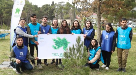 “Yaşıl Marafon 2023” ağacəkmə kampaniyasına start verildi - FOTO 