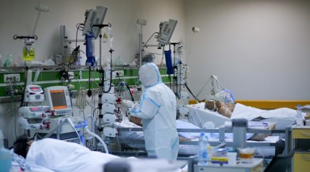 Azərbaycanda daha 53 nəfər koronavirusa yoluxdu - 6 nəfər öldü