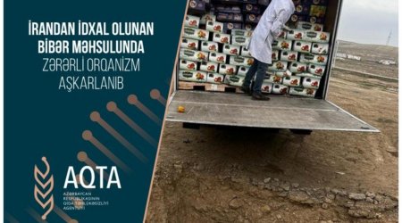 İrandan Azərbaycana gətirilən 6 ton bibər yararsız ÇIXDI