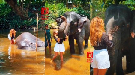 Aynişan Şri-Lankada fili ÇİMİZDİRDİ - VİDEO