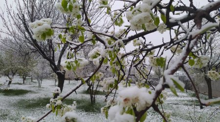 Şimal-Qərb bölgəsində QARLI HAVA - FOTO