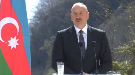 Prezident: “Gürcüstan və Azərbaycan Avropanın enerji təhlükəsizliyində önəmli rol oynayır” - VİDEO