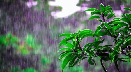 Faktiki hava AÇIQLANDI: Yağış yağacaq
